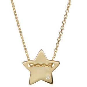 NWT Adornia 14K Gold Plated Necklace